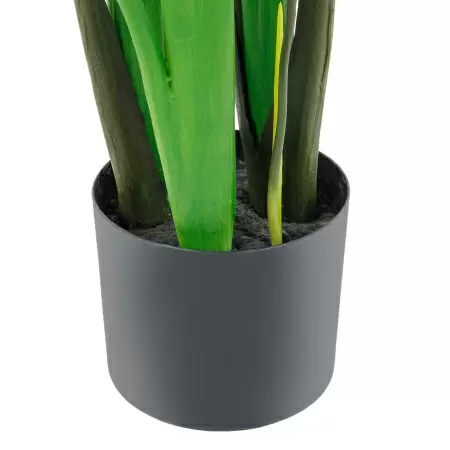 Стрелиция искусственная