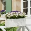 Кашпо Lechuza Balconera Cottage 50
