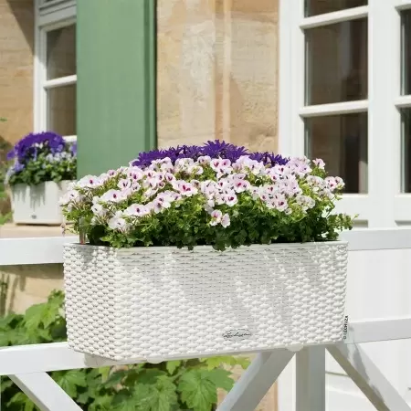 Кашпо Lechuza Balconera Cottage 50