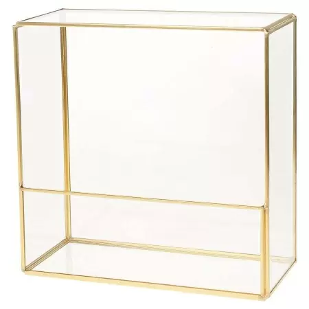 Флорариум стеклянный Швитцер