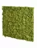 Панель из стабилизированного мха, зеленый лайм