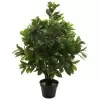 Лавр искусственное дерево