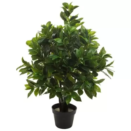 Лавр искусственное дерево