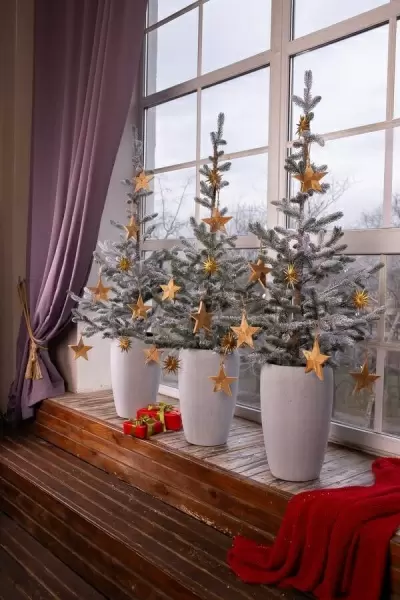 Вазон Pmc-grey Vase Вазон Pmc-grey Vase