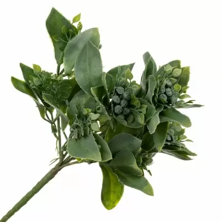 Гиперкиум искусственный Гиперкиум искусственный