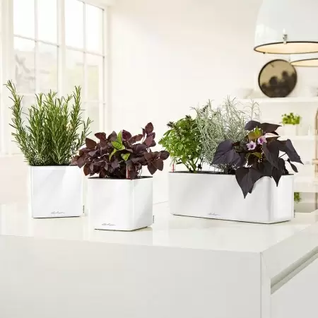 Кашпо Lechuza Cube Glossy Triple