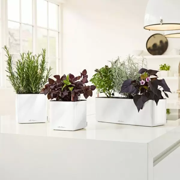 Кашпо Lechuza Cube Glossy