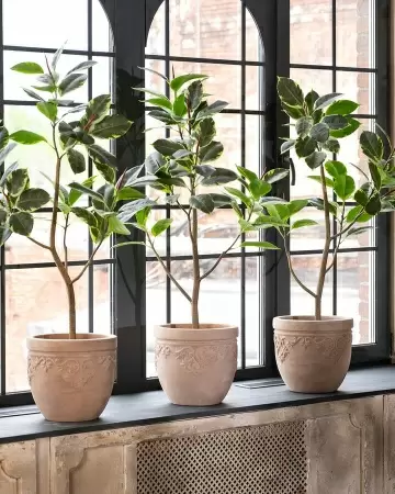 Фикус Робуста искусственный