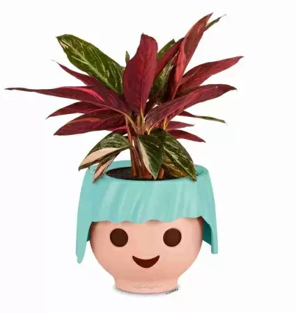 Кашпо Lechuza OJO