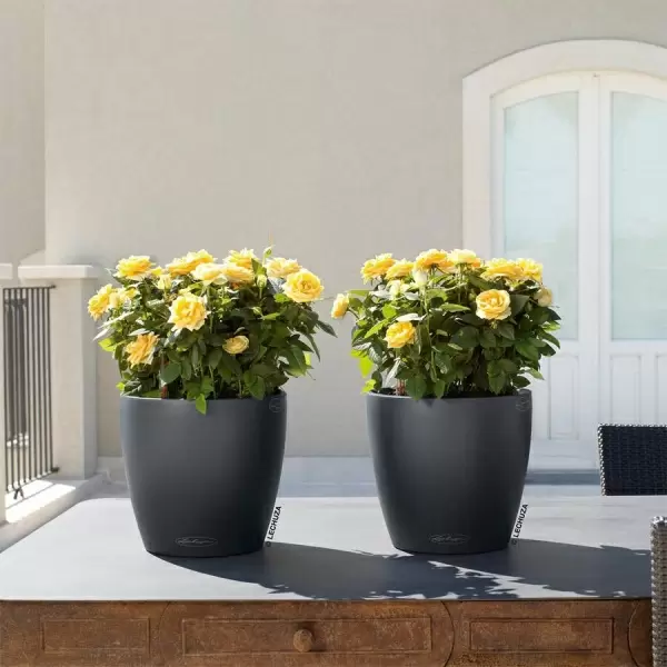 Кашпо Lechuza Classico Color