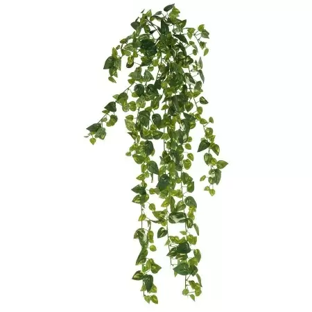 Искусственная лиана Потос