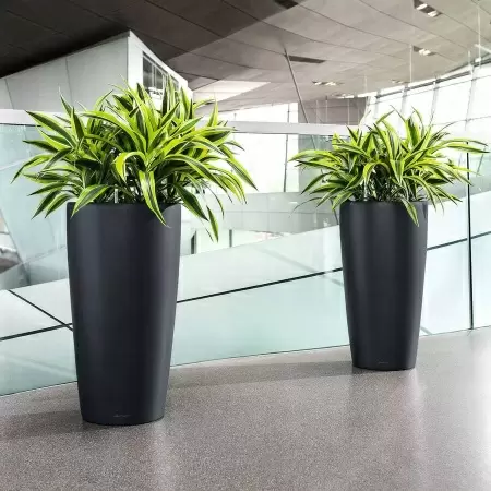 Кашпо Lechuza Rondo matt