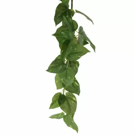 Искусственная лиана Потос