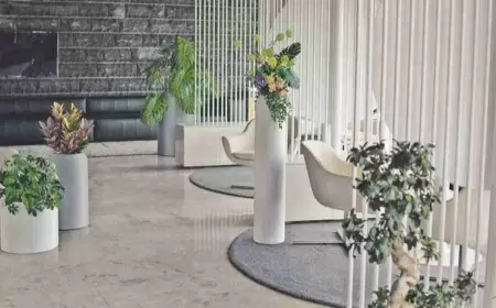 Кашпо (вазоны) Лечуза Хавало Кашпо Lechuza Havalo