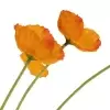 Мак искусственный