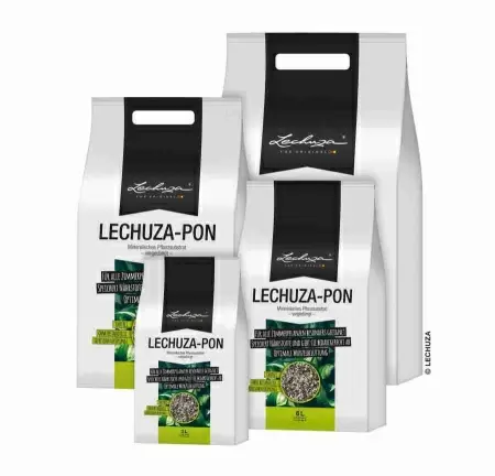 Lechuza Pon Лечуза Пон