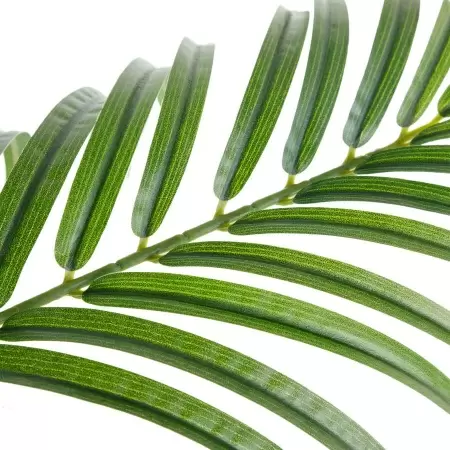 Пальма Тростниковая искусственная