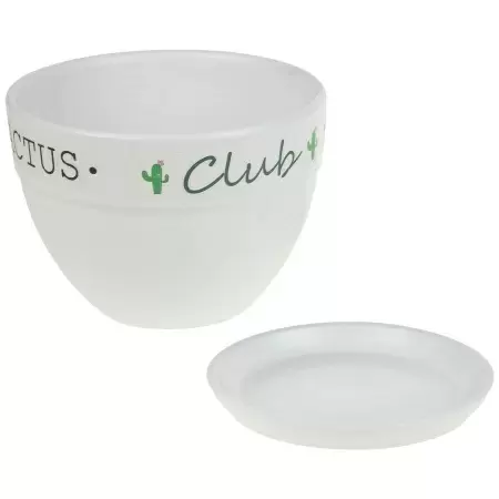 Кашпо White Cactus