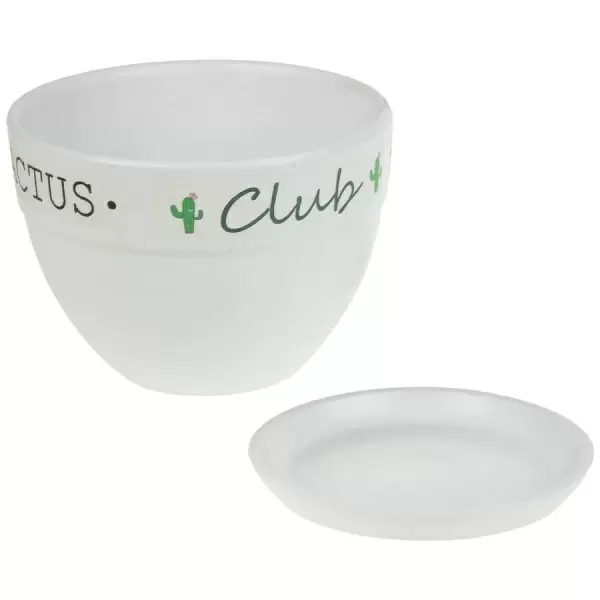 Кашпо White Cactus