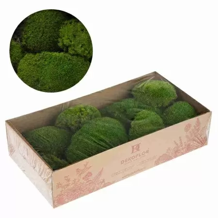 Мох стабилизированный (кочки)