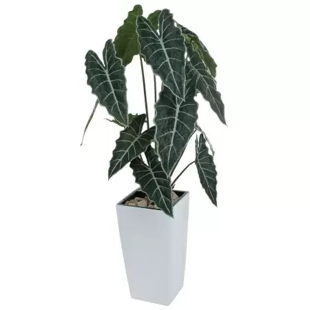 НоменклатураПрисоединенныеФайлы