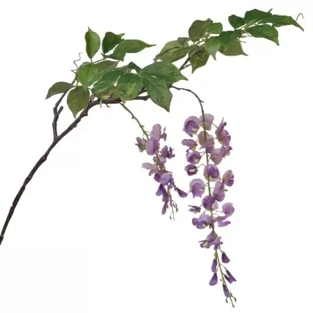 Глициния искусственная