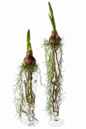 Стеклянная ваза Одиссея