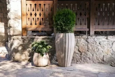 Цветочный горшок Pumpkin Rib Jaze