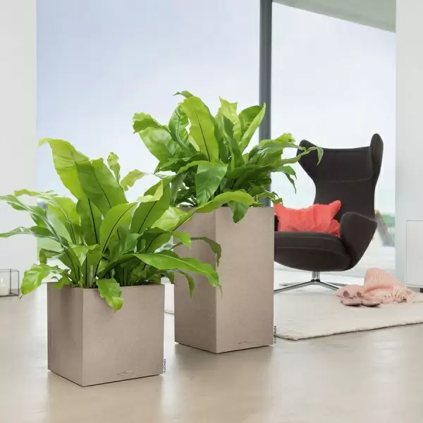 Кашпо Lechuza Canto Stone low