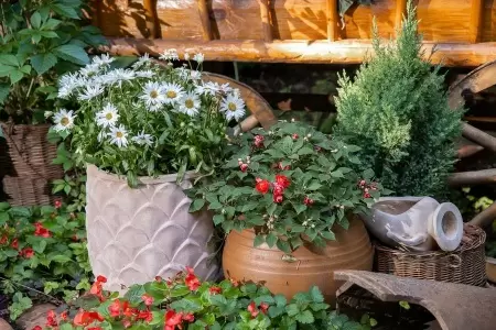 Глиняный большой горшок Mterra Leaves Jar