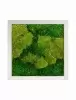 Панно из стабилизированного мха Moss painting Superline
