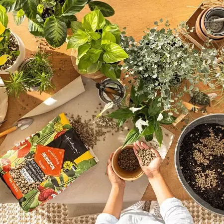 Субстрат Lechuza MONOPON