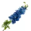 Дельфиниум искусственный