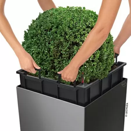 Кашпо Lechuza Cube