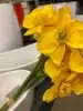 Нарциссы букет искусственный