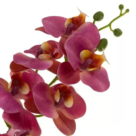 Фаленопсис силиконовый