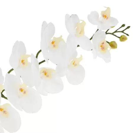 Фаленопсис силиконовый