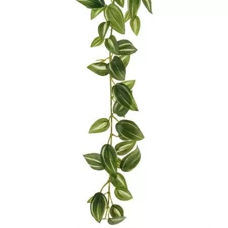 Традесканция искусственная