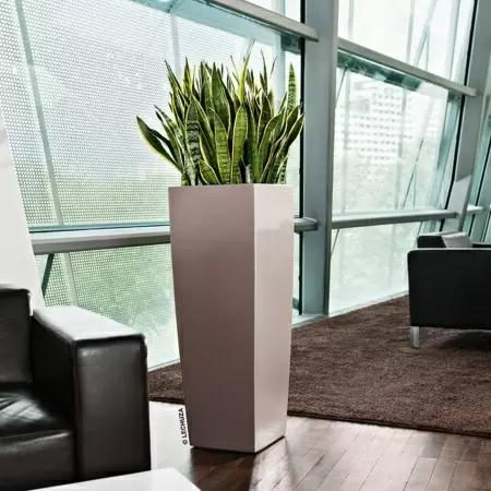 Кашпо Lechuza Cubico Alto