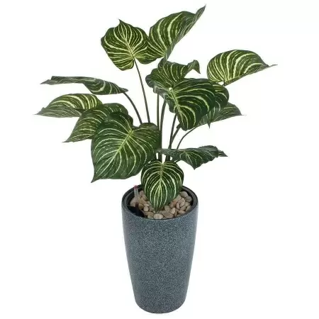 Растение искусственное Калатея в горшке Vase Stone