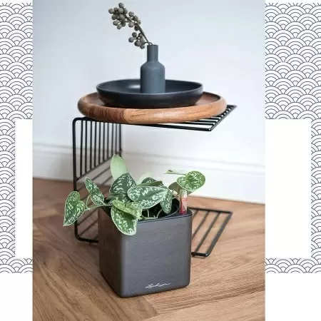 Кашпо Lechuza Cube Glossy