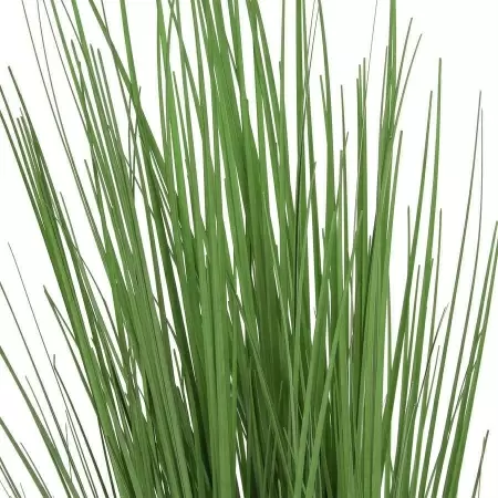 Речная искусственная трава 