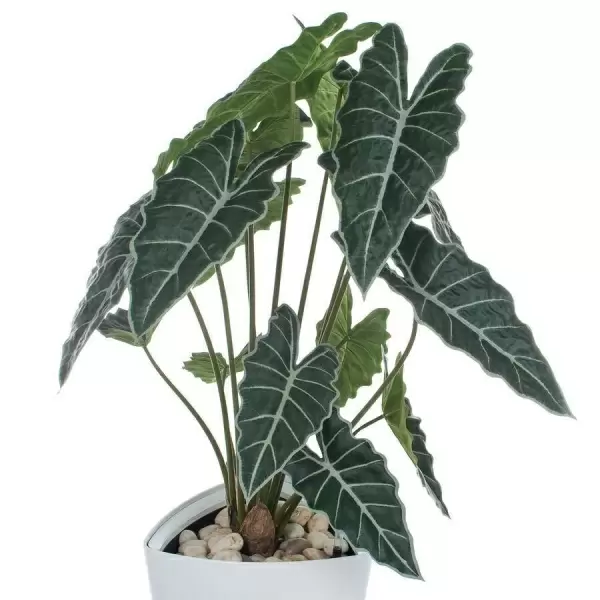 Искусственное растение Алоказия в горшке Crater Silk