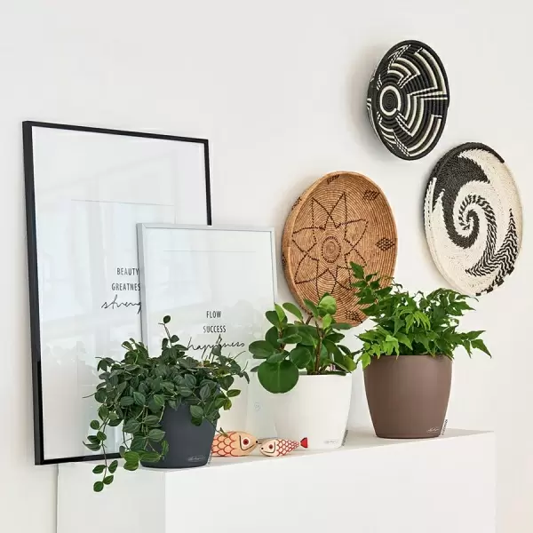 Кашпо Lechuza Classico Color Кашпо Lechuza Classico Color