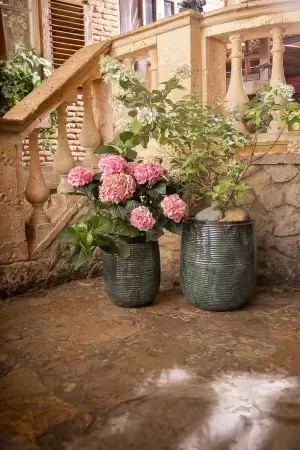 Цветочный горшок Jade Jar