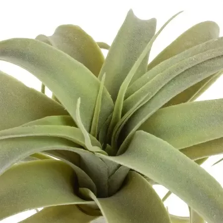 Тилландсия искусственная