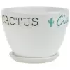 Кашпо White Cactus