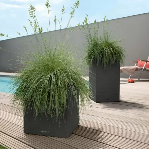 Кашпо Lechuza Canto Stone low