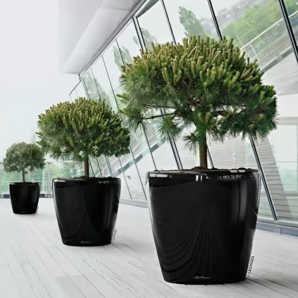 Кашпо Lechuza Classico LS