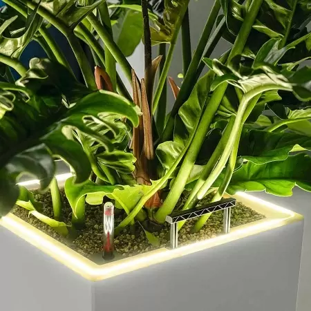 Кашпо Lechuza Canto Stone LED low Кашпо Lechuza Canto Stone LED low